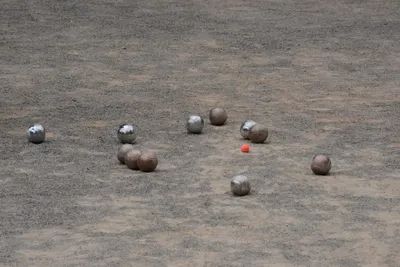 DSC_2602 (Large).JPG